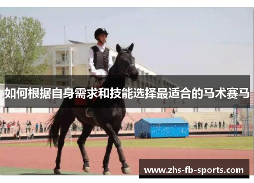 如何根据自身需求和技能选择最适合的马术赛马