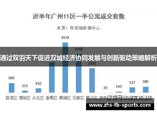 通过双羽天下促进双城经济协同发展与创新驱动策略解析 通过双羽天下促进双城经济协同发展与创新驱动策略解析
